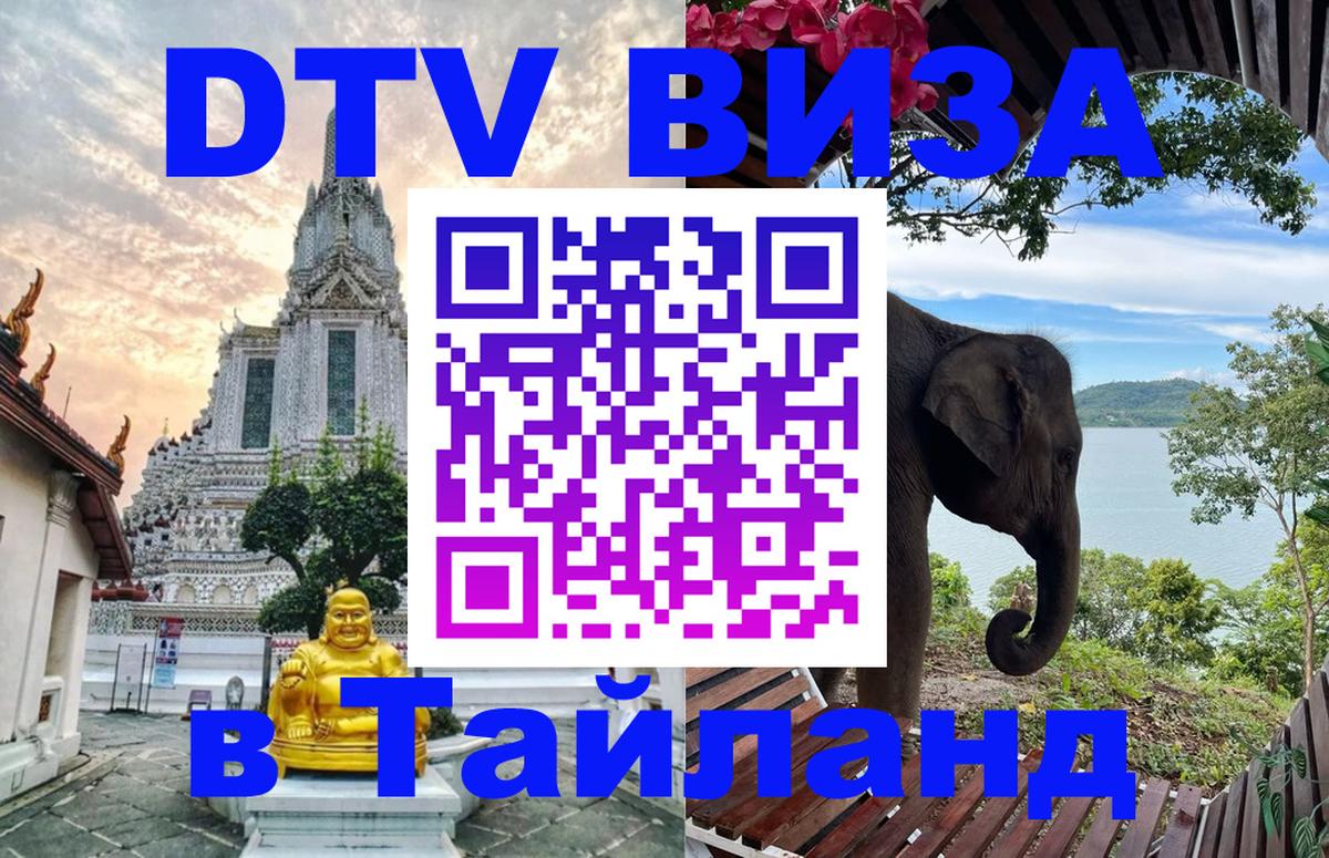 Оформление DTV визы под ключ: стоимость и тарифы, только загранпаспорт - 